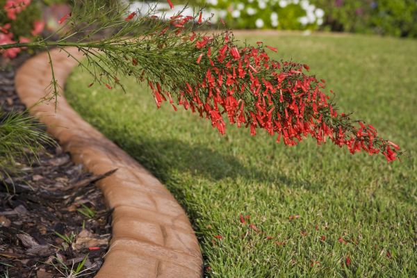 Brick Edging in Leland