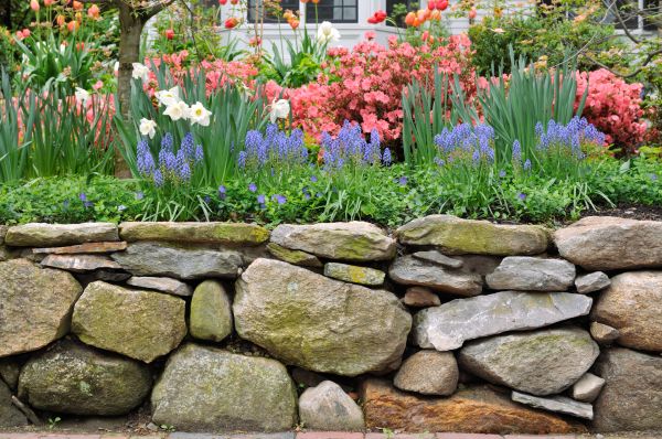 Stone Wall Hardscaping in Leland