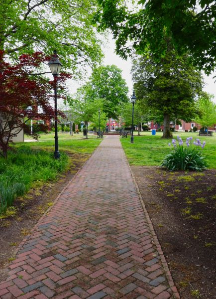 Brick Pathway Repair in Leland