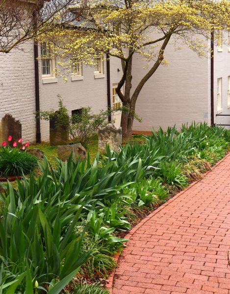 Brick Flatwork Repair in Leland